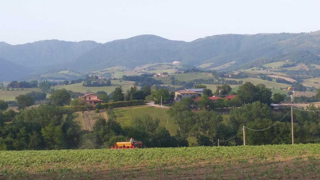 Pietra Maula Agriturismo Кастельраймондо Экстерьер фото