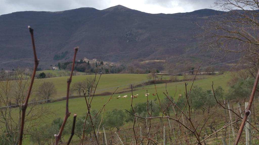 Pietra Maula Agriturismo Кастельраймондо Экстерьер фото