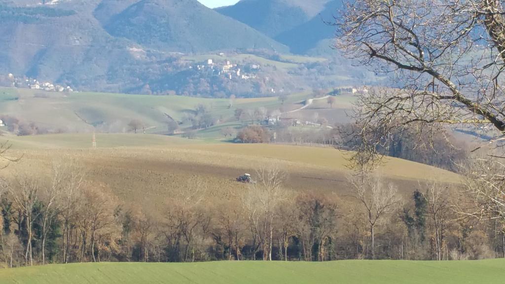 Pietra Maula Agriturismo Кастельраймондо Экстерьер фото