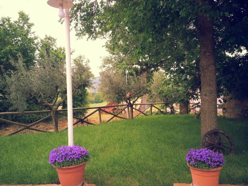 Pietra Maula Agriturismo Кастельраймондо Экстерьер фото